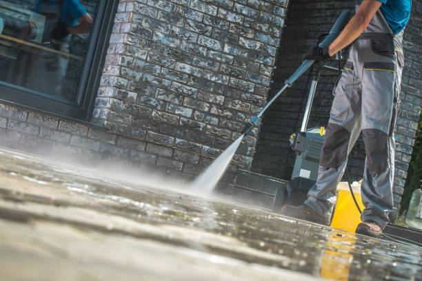 Best Animal Enclosure Cleaning  in Oakbrook Terrace, IL